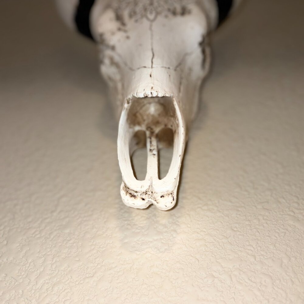 Faux Longhorn Steer Skull Wall Decor Western Farmhouse Wall Mount - Picture 4 of 6